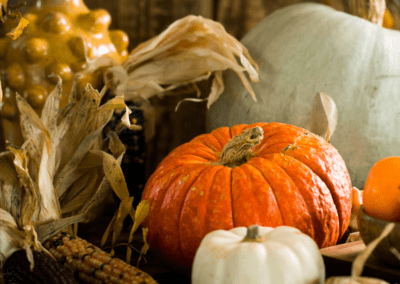 Chicken and pumpkin skewers