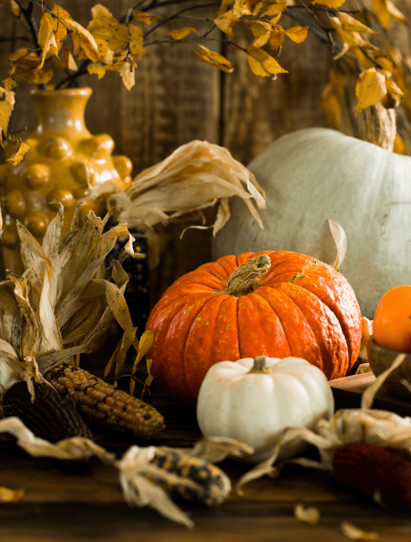 A picture showing Pumpkins can be used in chicken and pumpkin skewers