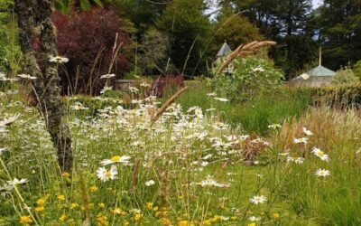 A foraging diet and the microbiome