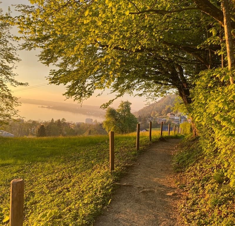Understanding IBS symptoms - pastoral autumn scene