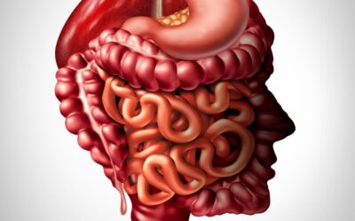 The IBS gut-brain connection
