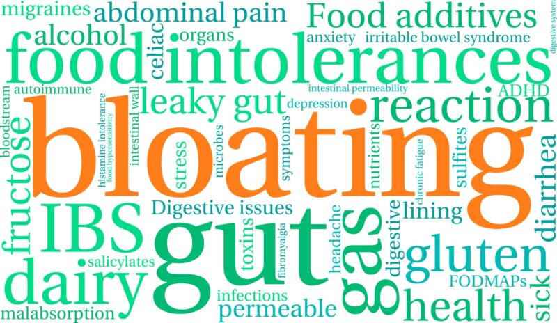 Word cloud showing leaky gut and IBS symptoms