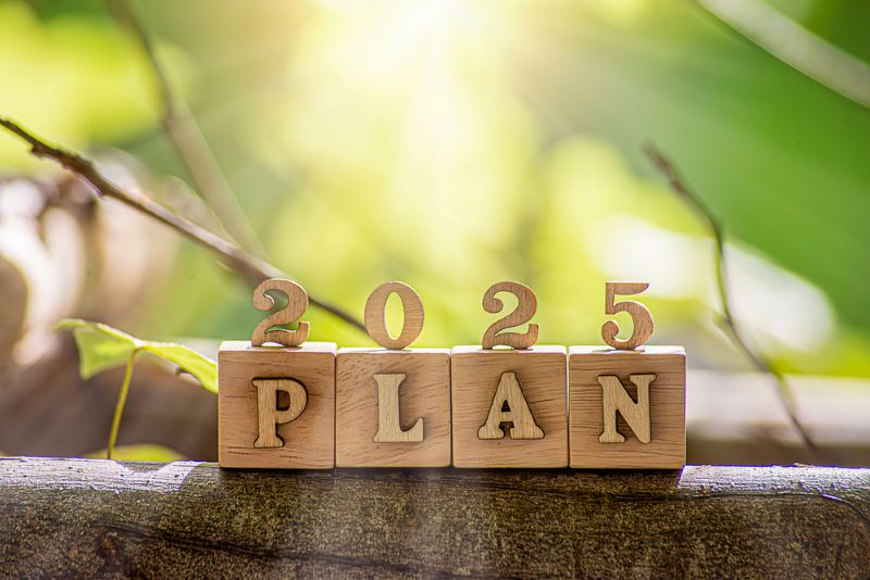 Blocks showing a plan for 2025 for IBS advice and support