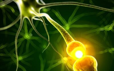 The Vagus Nerve and IBS