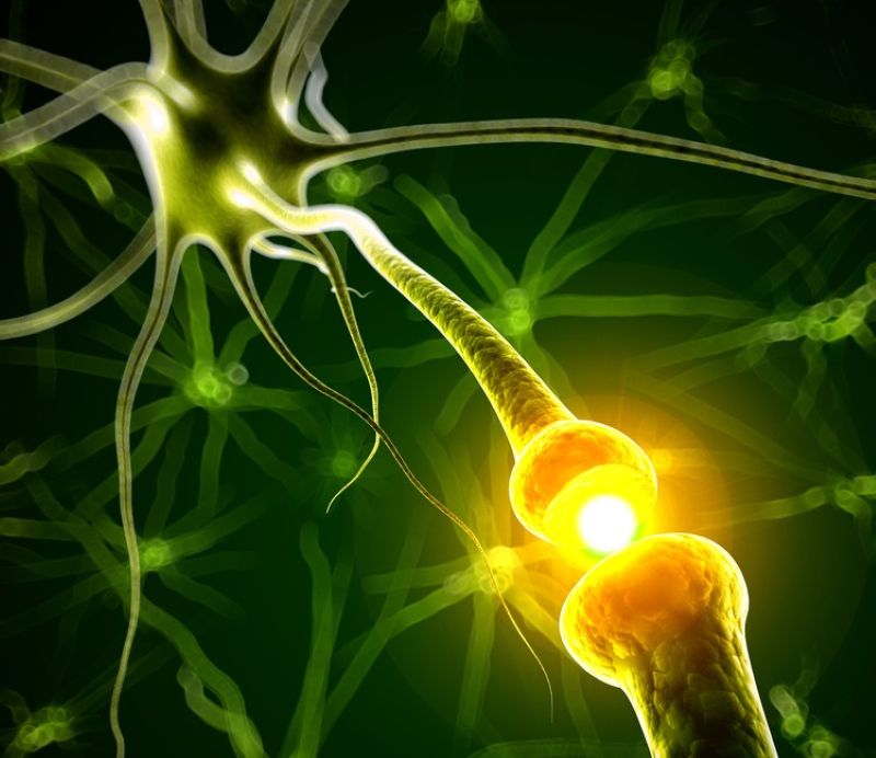 A diagram showing the firing of a nerve -the Vagus nerve and IBS