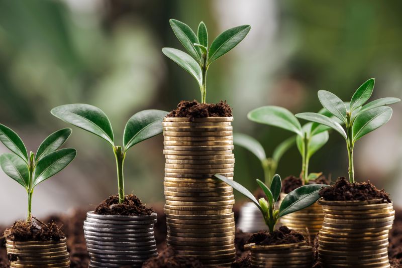 Picture showing plants growing for stacks of coins