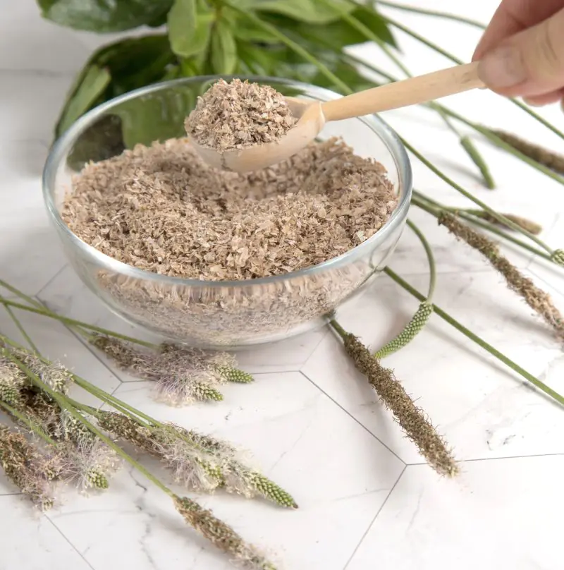 A dish of Psyllium husk and someone taking a scoop as part of the low FODMAP